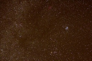 The constellation Taurus (Bob Fisher )